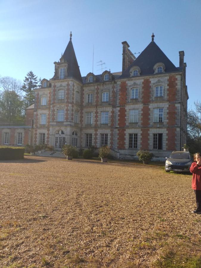 Chateau De Rocheux Freteval Buitenkant foto